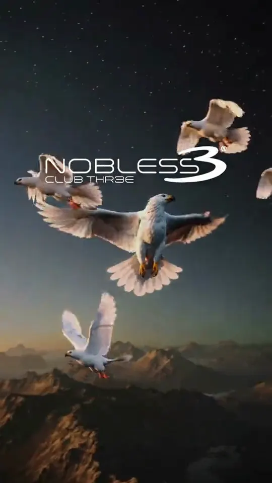 Animierter Flyer: Nobless 3 · Club Three